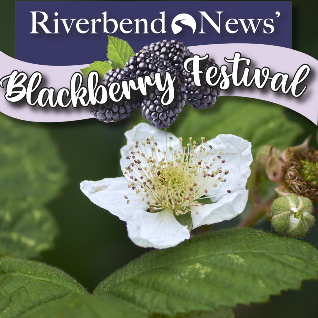 Second Annual Blackberry Festival sees crowd of over 300 at Jasper City ...