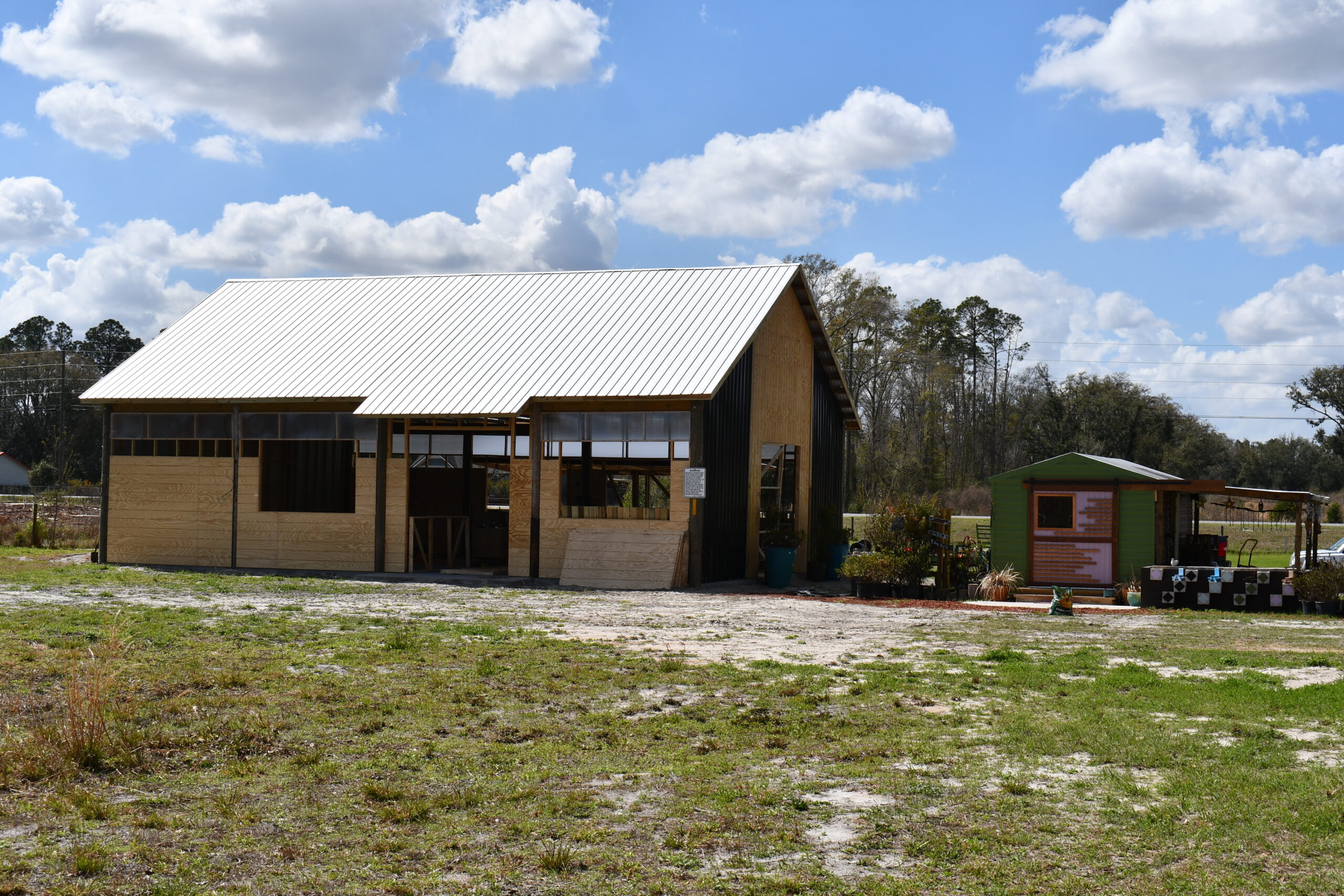 Plants, art and community: Wild Roots Collective opening March 21